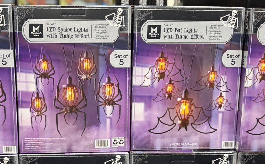 Member's Mark Set of 5 LED Spider Lights with Flame Effect