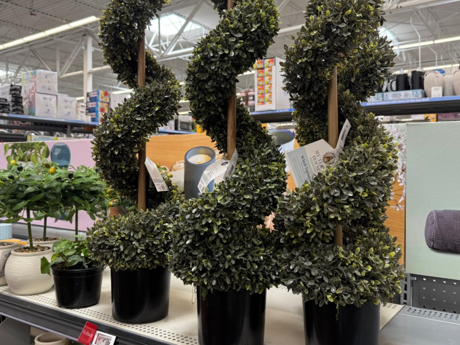My Texas House Topiaries on walmart store