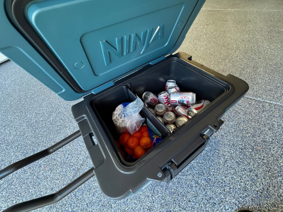 An open teal Ninja rolling cooler sitting on a speckled floor, packed with Diet Coke cans on one side and a bag of oranges and ice on the other.