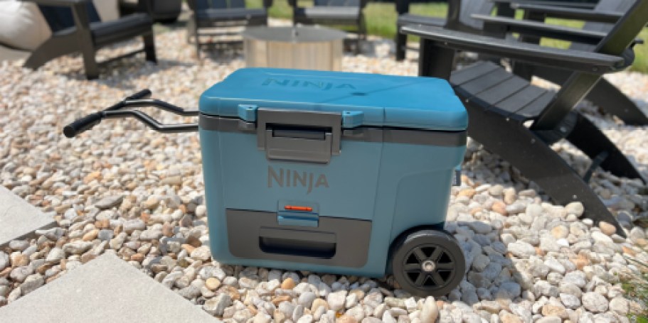 Save $95 on the Reader-Favorite Ninja FrostVault Wheeled Cooler
