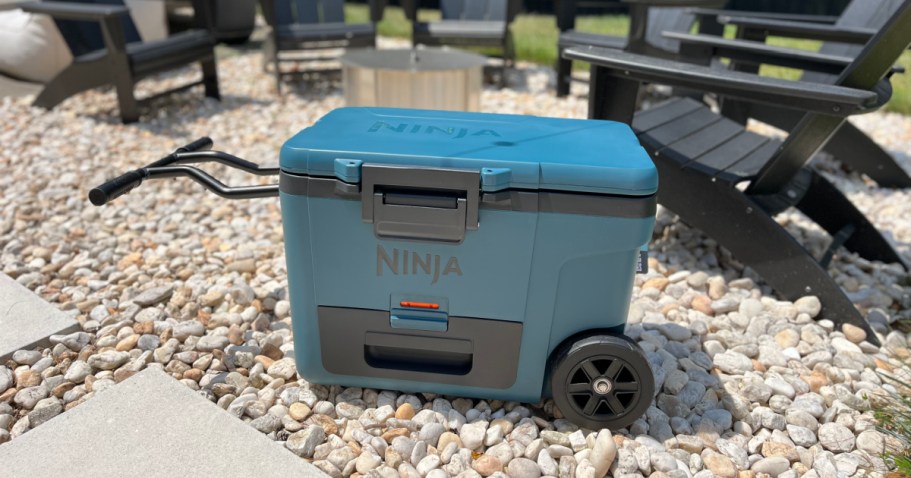 Save $95 on the Reader-Favorite Ninja FrostVault Wheeled Cooler