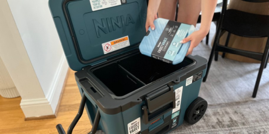 Save Big on This Ninja Cooler With Room for Over 65 Cans – Today Only!