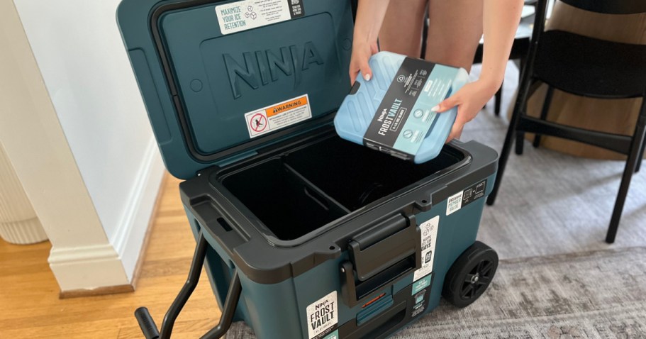 Save Big on This Ninja Cooler With Room for 65+ Cans – Today Only!