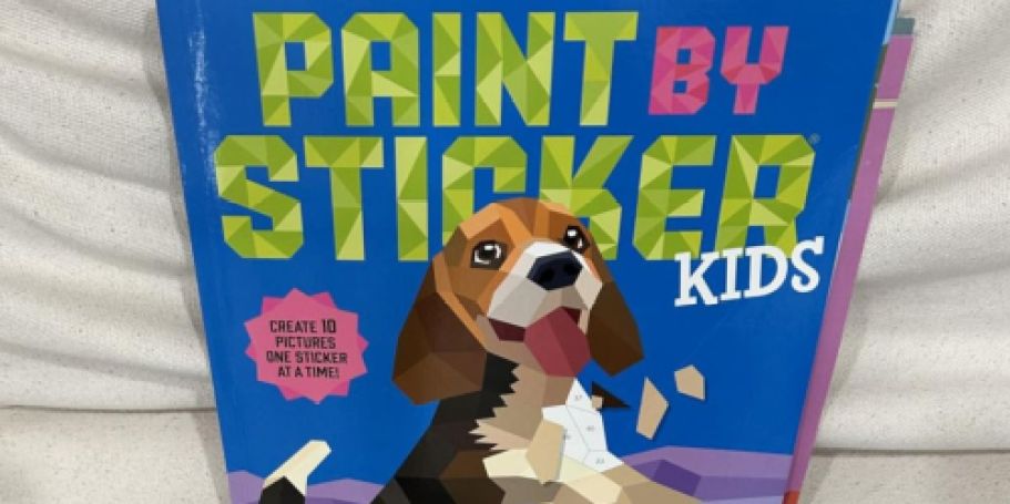Up to 55% Off Paint By Sticker Books on Amazon (Great Rainy Day Activity!)