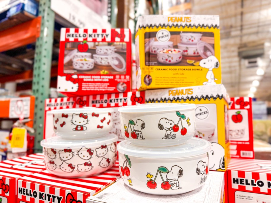 Peanuts and Hello Kitty storage set