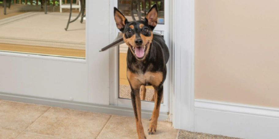Over $50 Off PetSafe Sliding Door + Free Shipping for Prime Members