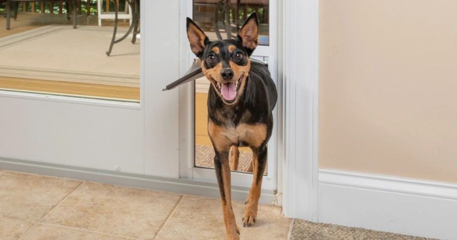 Over $50 Off PetSafe Sliding Door + Free Shipping for Prime Members