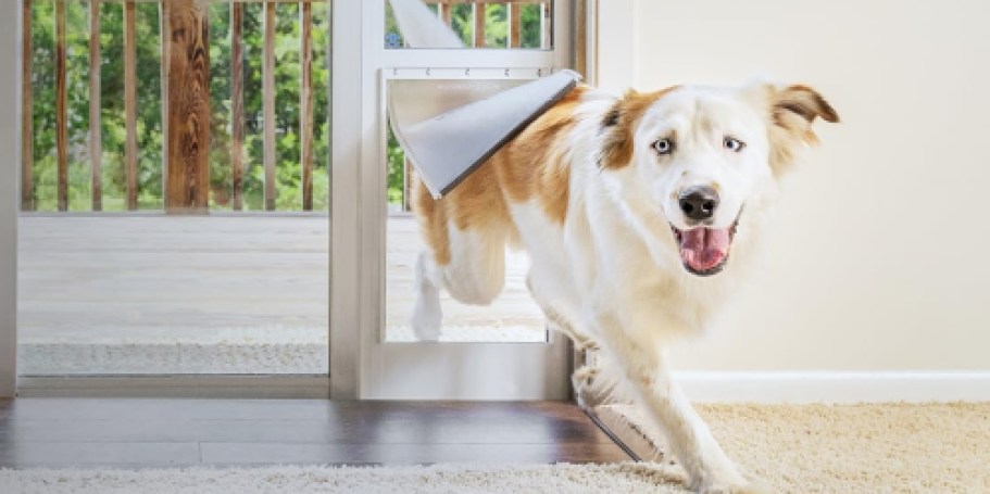 Over $50 Off PetSafe Sliding Glass Pet Door + Free Shipping for Prime Members (Reg. $220)