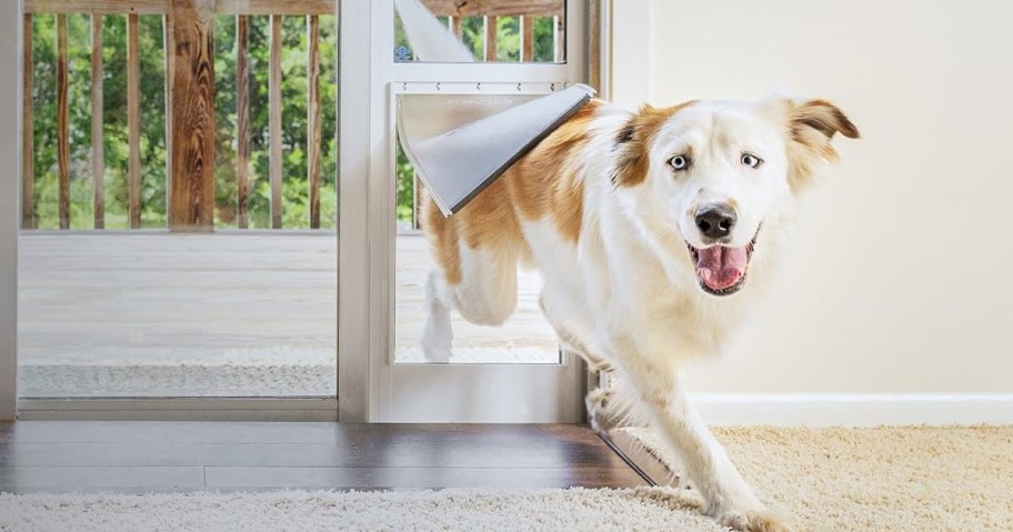 PetSafe Dog door for sliding door