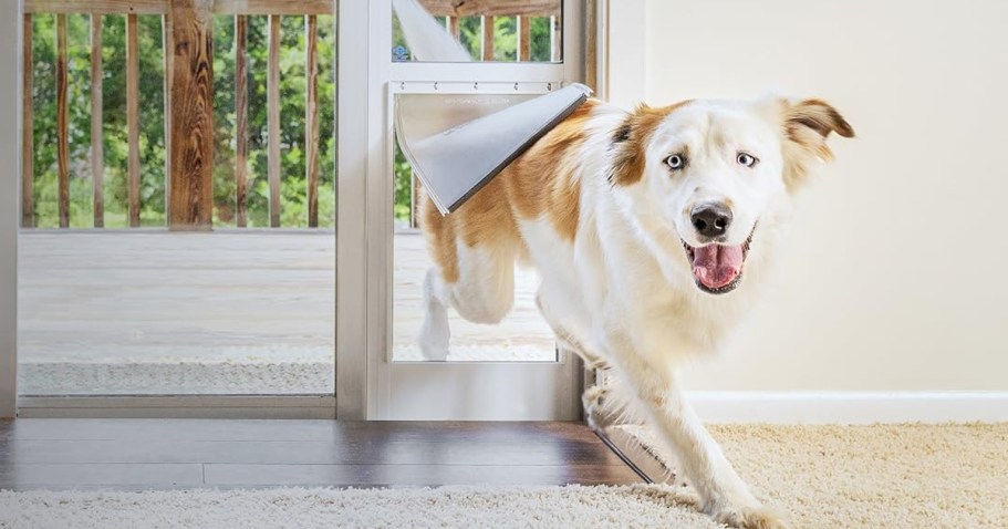 Over $50 Off PetSafe Sliding Glass Pet Door + Free Shipping for Prime Members (Reg. $220) + More!