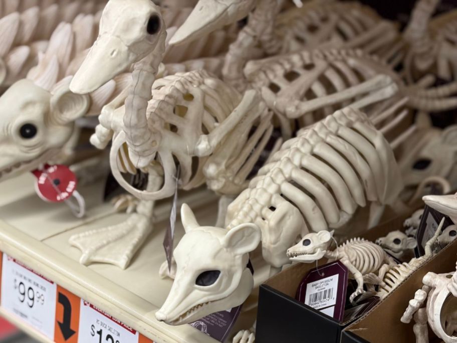 Red Shed Duck and opossum Skeletons in store