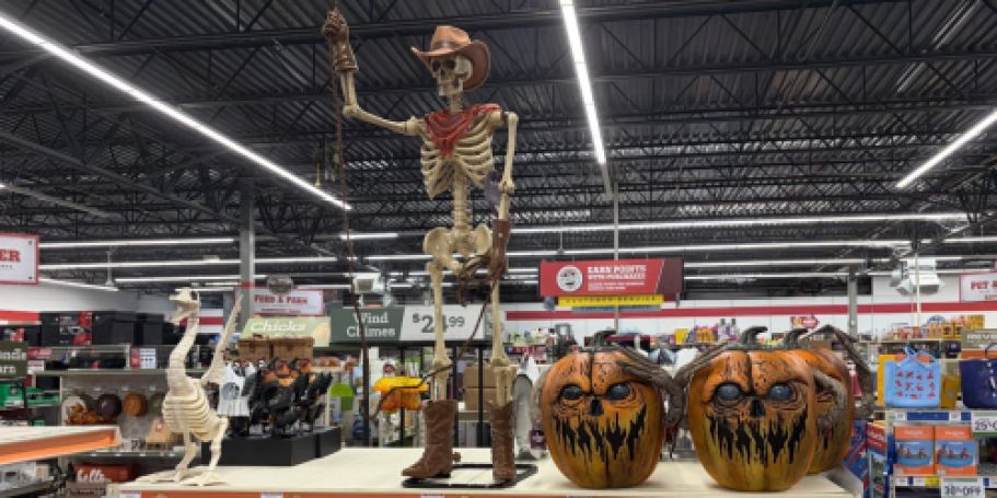 Tractor Supply Has Halloween Decor You Can’t Find Anywhere Else