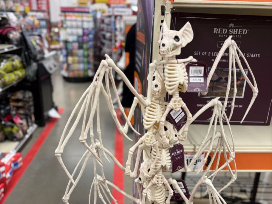 Red Shed Bat Skeletons in store