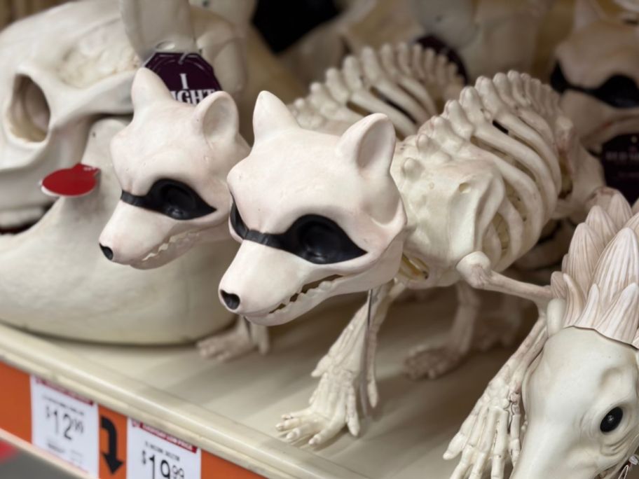 Red Shed Raccoon Skeletons in store