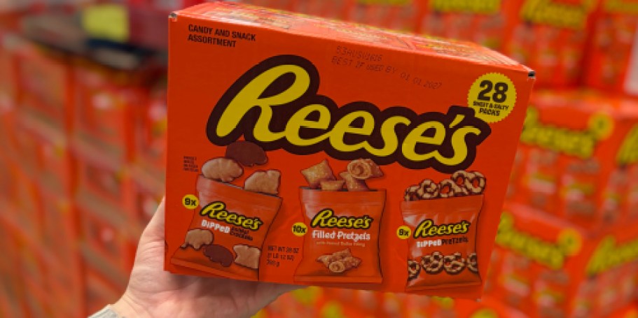 New Sam’s Club Finds | Lots of Snacks, Sushi Platters, & Halloween Decor!