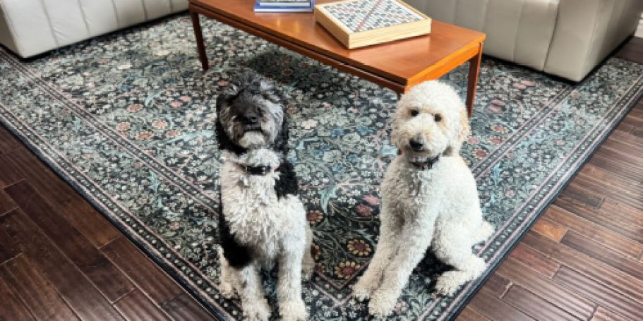 Last Chance: Save On Our Fave Washable Ruggable Rugs (Perfect for Pets!)