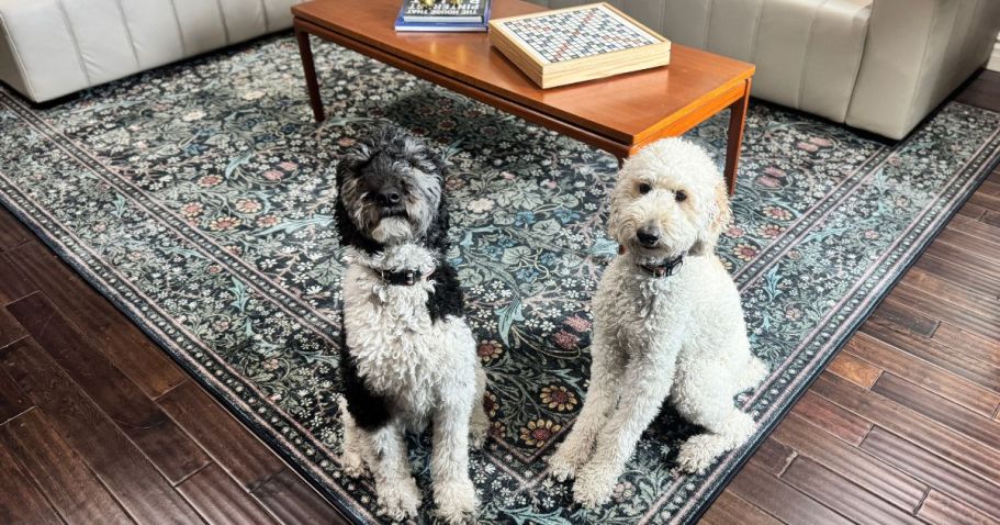 Last Chance: Save On Our Fave Washable Ruggable Rugs (Perfect for Pets!)