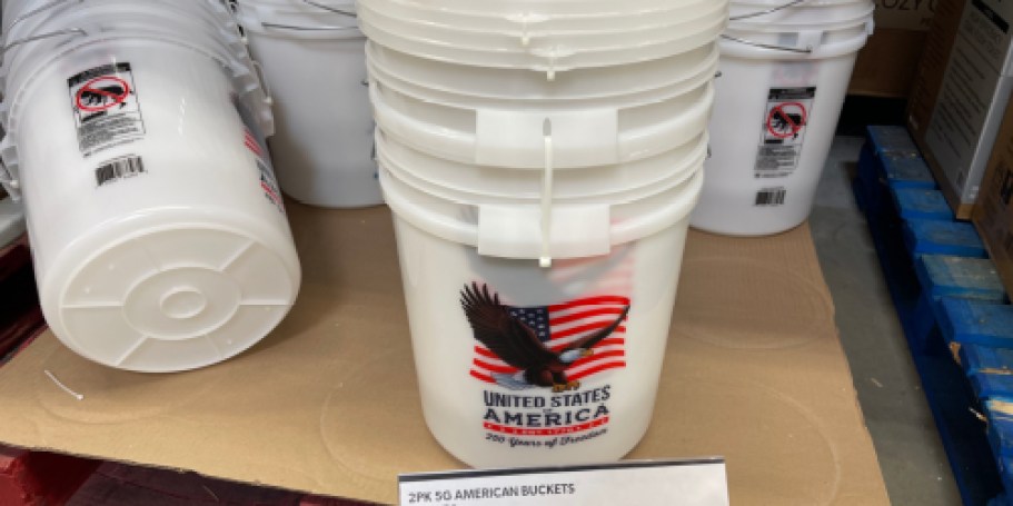 TWO Patriotic 5-Gallon Buckets w/ Lids Just $5.76 at Sam’s Club