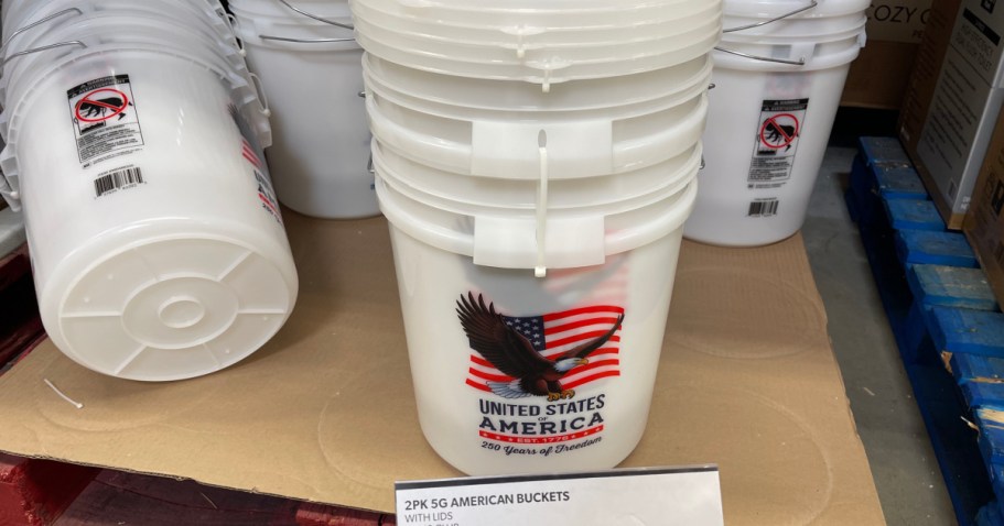 TWO Patriotic 5-Gallon Buckets w/ Lids Just $5.76 at Sam’s Club