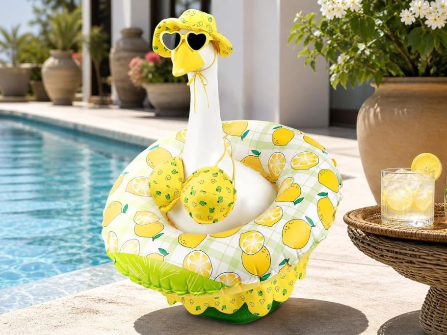 Porch Goose Summer Outfits Under $12 on Amazon