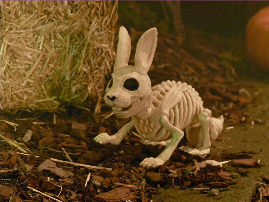 A plastic rabbit skeleton decoration sitting on wood chips next to a hay bale.