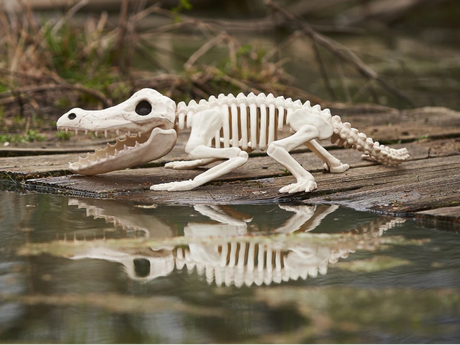 A plastic alligator skeleton with an open mouth sitting on wooden planks next to water, with its reflection visible in the water below.