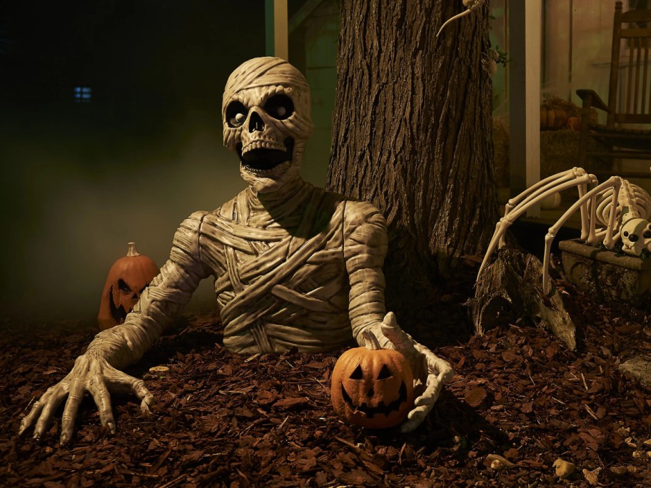 A skeletal mummy decoration emerging from a bed of wood chips at night, holding a small jack-o'-lantern next to a tree trunk and a spider skeleton.