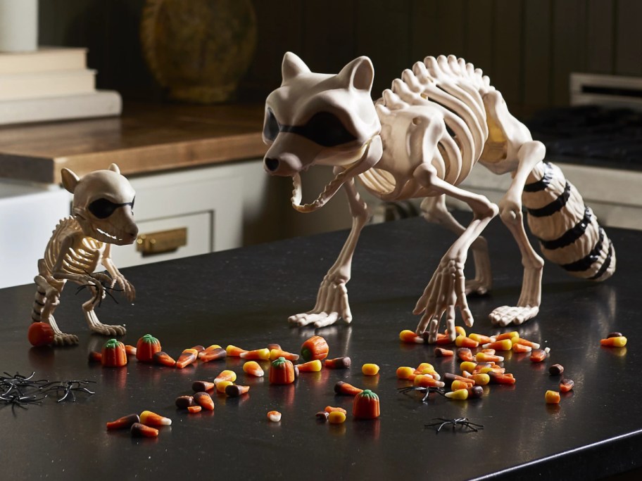 A large raccoon skeleton and a smaller animal skeleton standing on a black counter among scattered candy corn, candy pumpkins, and fake spiders.