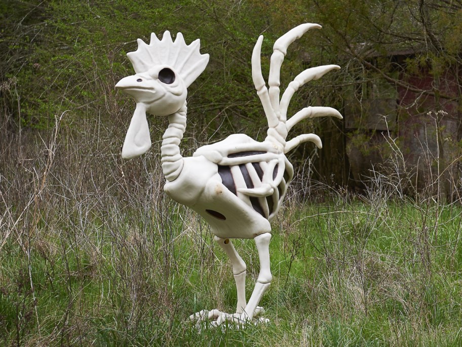 A large plastic rooster skeleton decoration standing outdoors in tall green grass.