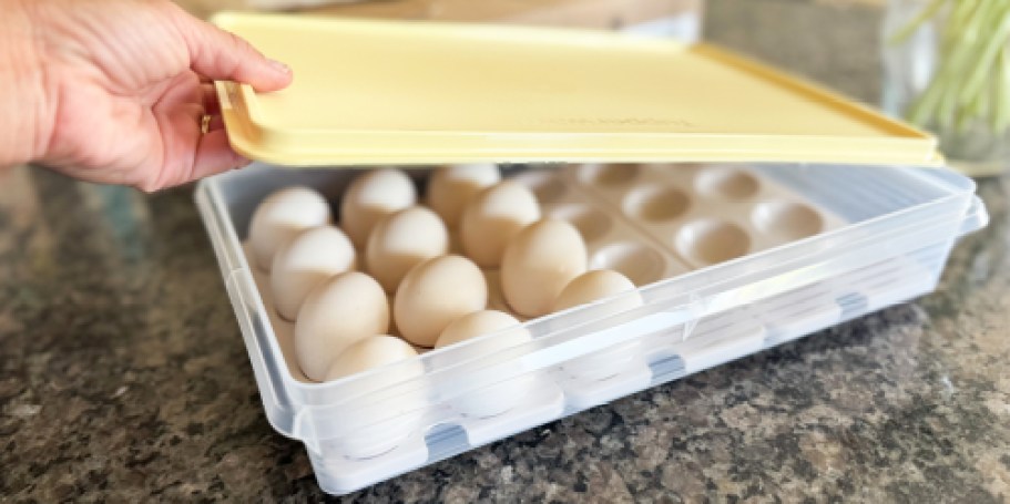 Up to 55% Off Tupperware + Free Shipping | Snack-Stor Container Just $19.97 Shipped!