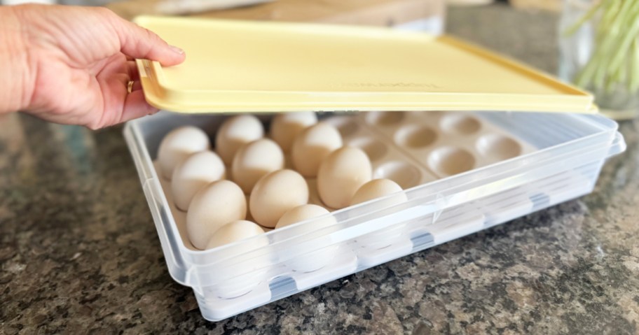 eggs inside of a tupperware container with yellow lid