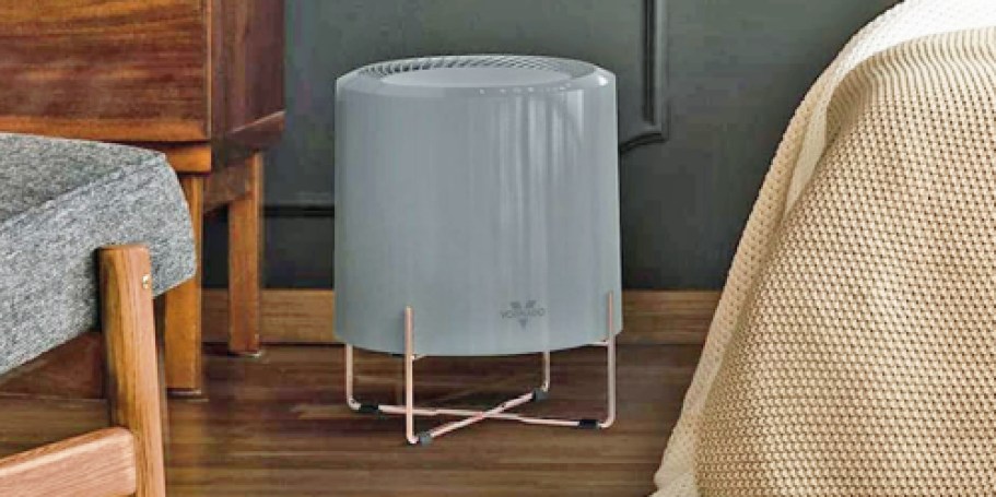 Vornado HEPA Air Purifier Just $34.99 Shipped (Regularly $100)