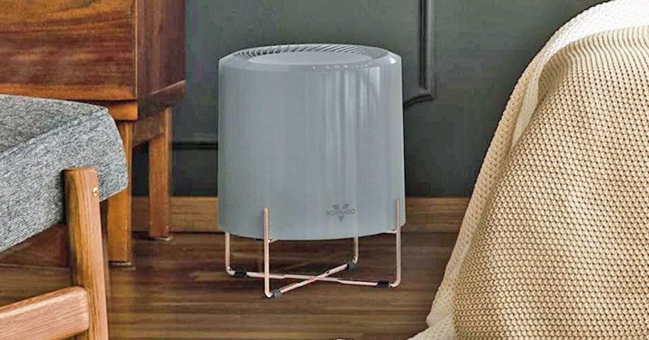 Vornado HEPA Air Purifier Just $34.99 Shipped (Regularly $100)
