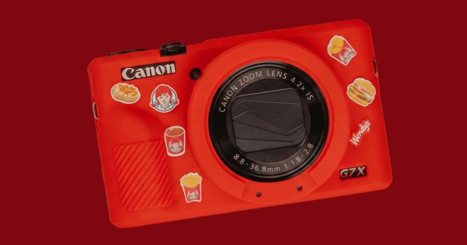 Wendy’s Digital Camera Kit