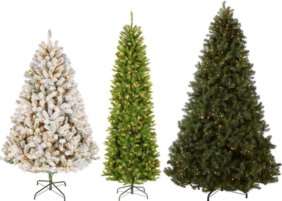 Stock images of 3 Christmas Trees from Woot