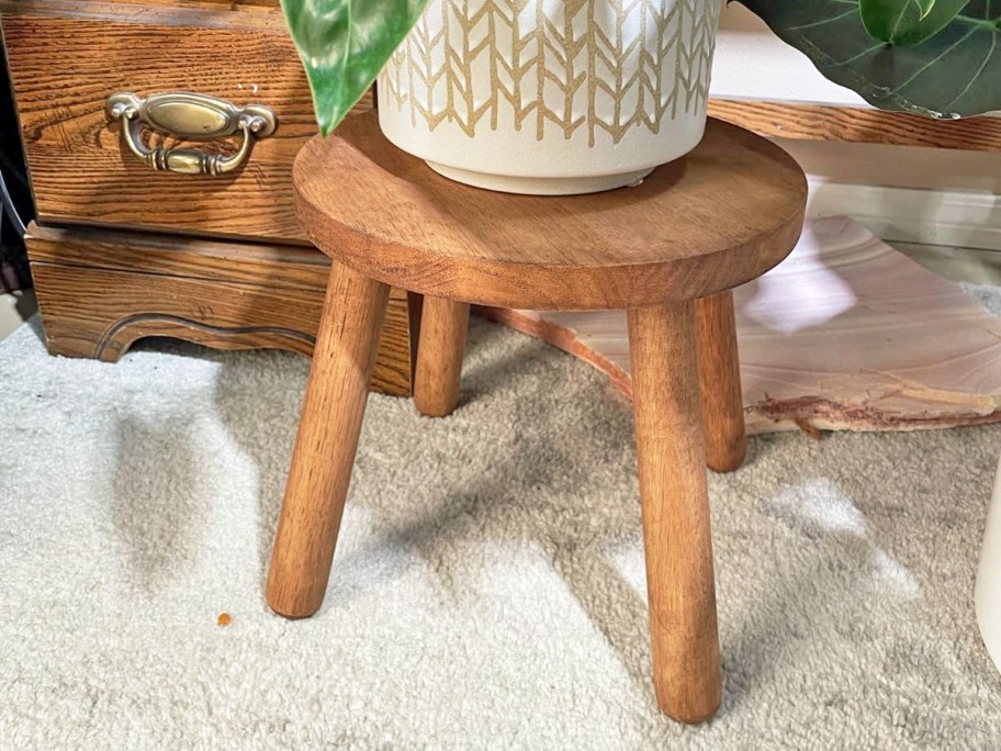 potted plant on top of a wood stool