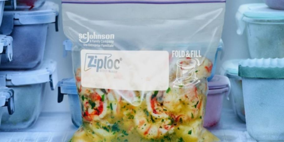 Ziploc Gallon Stand-Up Bottom Freezer Bags 66-Count Only $6 Shipped on Amazon (Reg. $12)