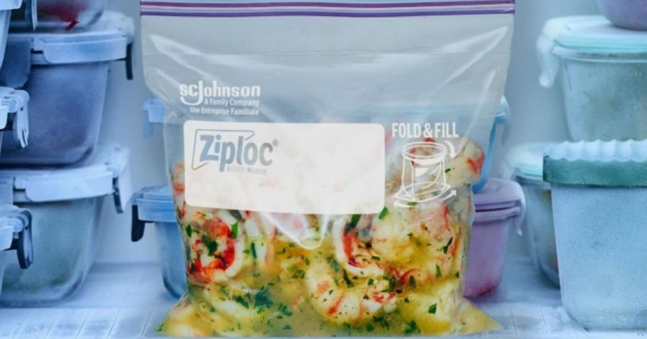 Ziploc Gallon Stand-Up Bottom Freezer Bags 66-Count Only $6 Shipped on Amazon (Reg. $12)