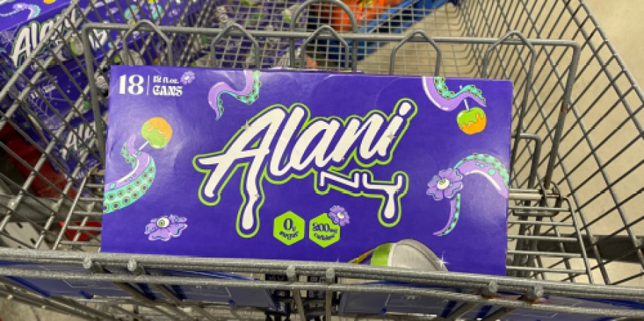 RUN! Alani Nu Witch’s Brew 18-Pack is BACK & On Sale at Sam’s Club | Will Sell Out Fast