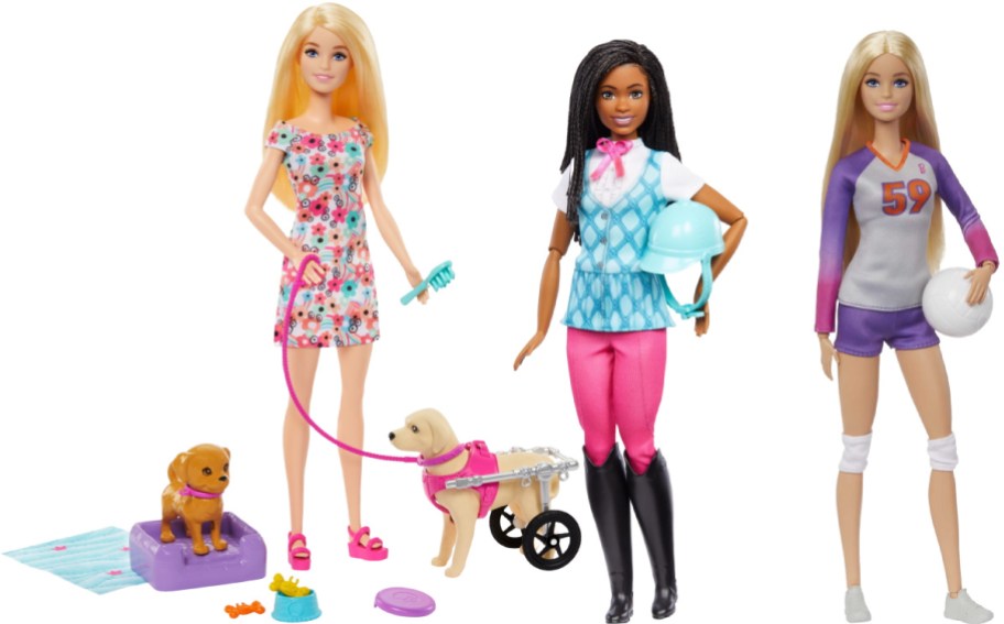 Three Barbie dolls side-by-side against a white background: a blonde doll in a floral dress standing with two dogs, including one in a wheelchair; a dark-haired doll in equestrian attire holding a blue helmet; and a blonde doll in a volleyball uniform holding a white ball.