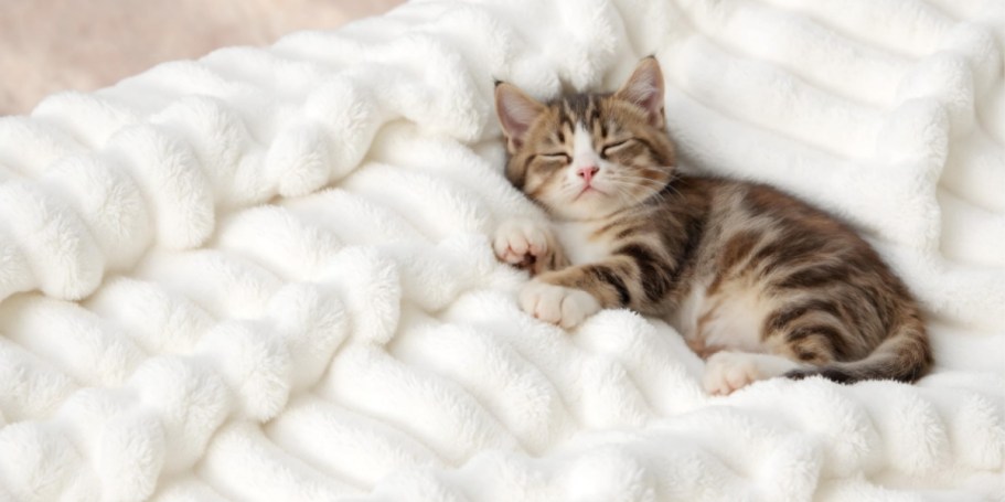Plush Throw Blanket Only $8 Shipped for Amazon Prime Members