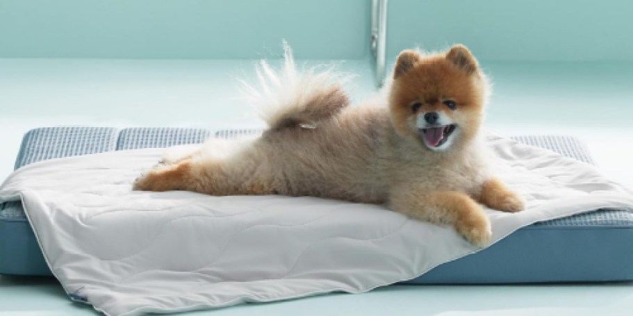 Dog Cooling Blanket Just $11.99 Shipped w/ Amazon Prime (Reg. $28)
