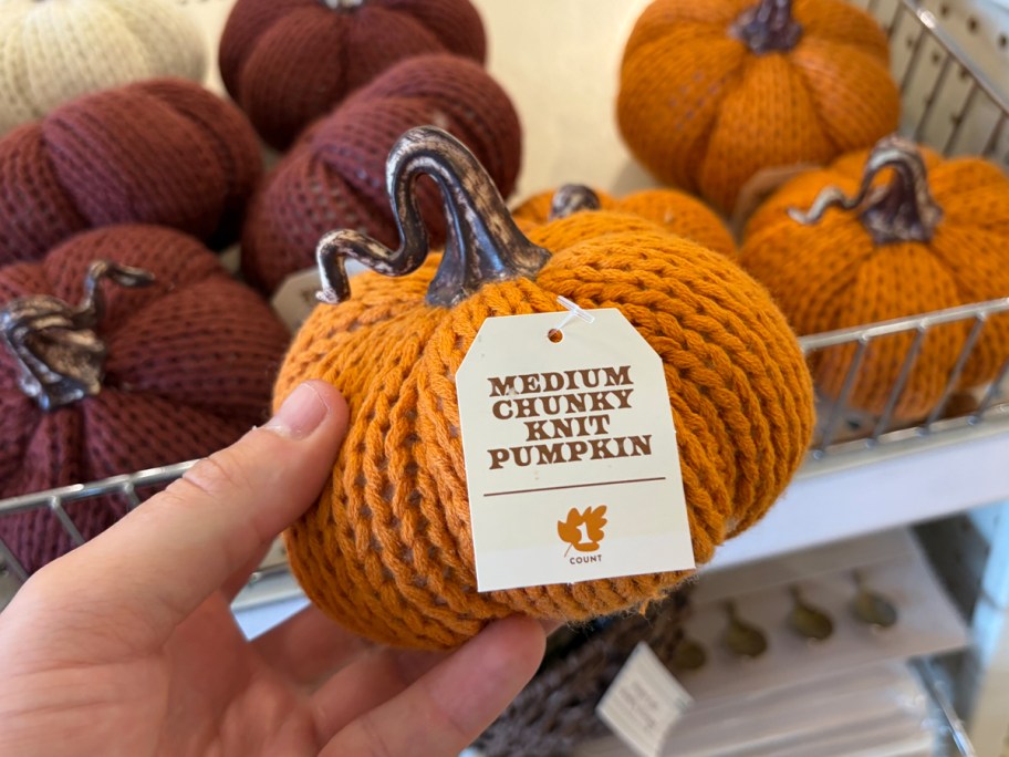 hand holding knit pumpkin 