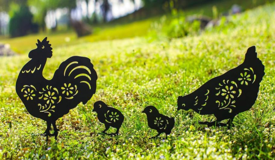 Amazon chicken stakes on the grass