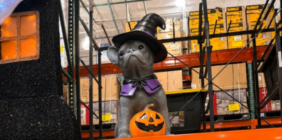Halloween Is Creeping Into Costco & These Porch Greeters Are Scary Cute!