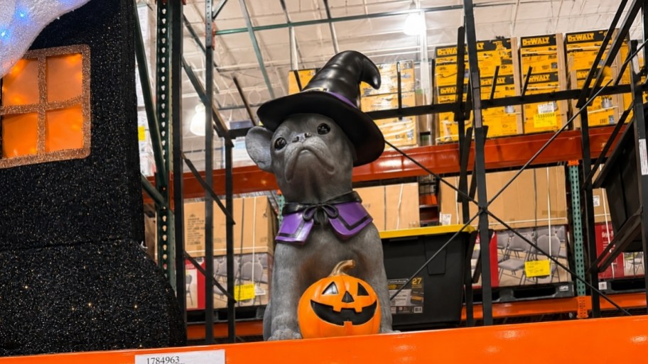 frenchie porch greeter on a store shelf.