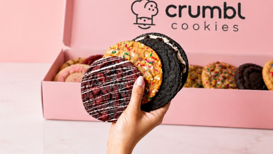 an hand holding 4 thin crubl cookies 