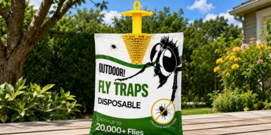 Hosting Outdoors? Grab This 9-Pack of Disposable Hanging Fly Traps for Just $14.99 on Amazon