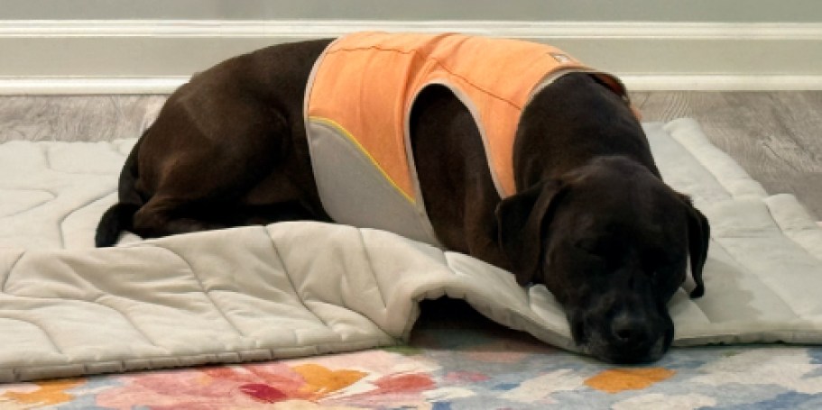 Dog Cooling Blanket Just $9.74 on Amazon (Reg. $20)