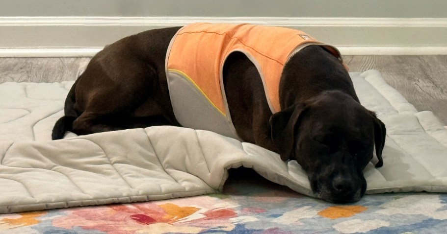 Dog Cooling Blanket Just $9.74 on Amazon (Reg. $20)